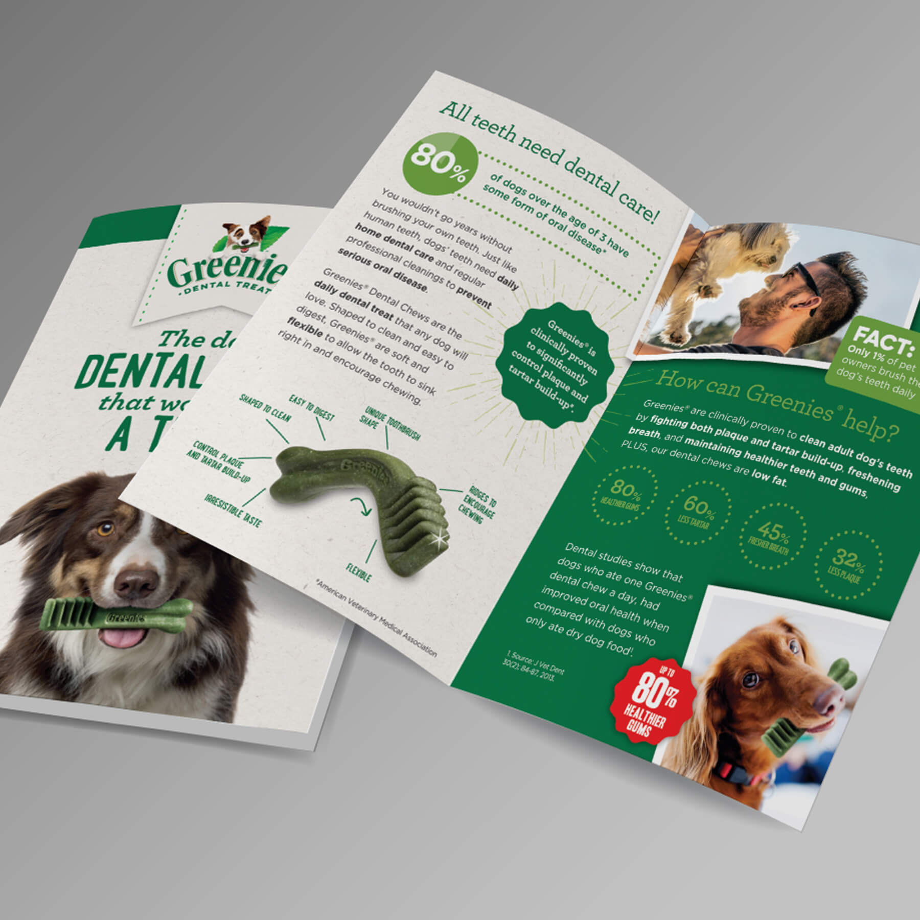 Image of Greenies Dental Chews case study