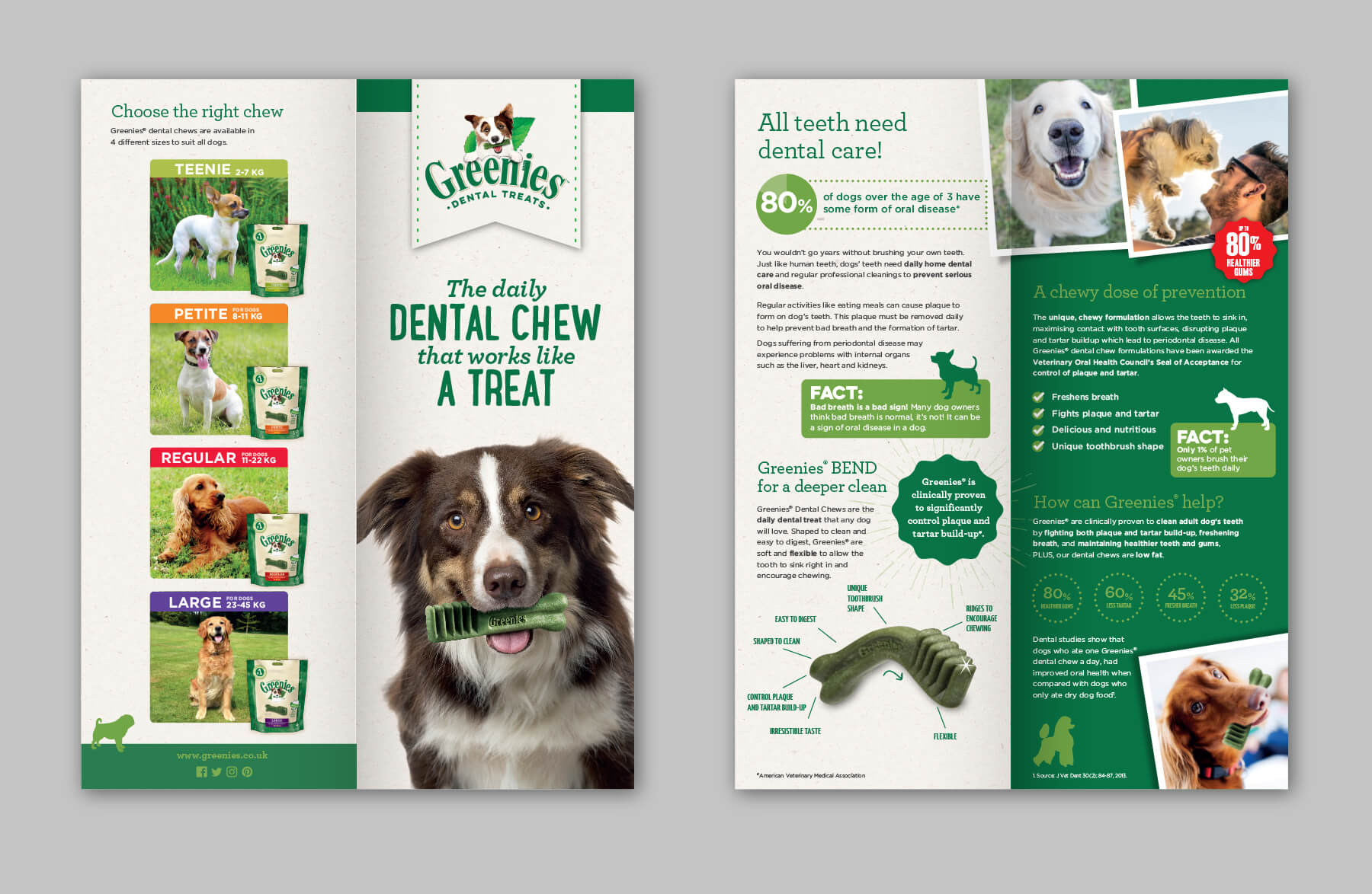 Image of Greenies Dental Chews case study